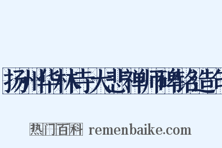 扬州华林寺大悲禅师碑铭造句是什么意思的图片